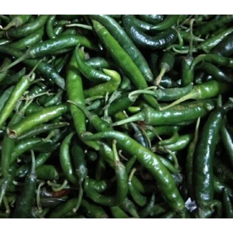 

Cabe hijau besar segar