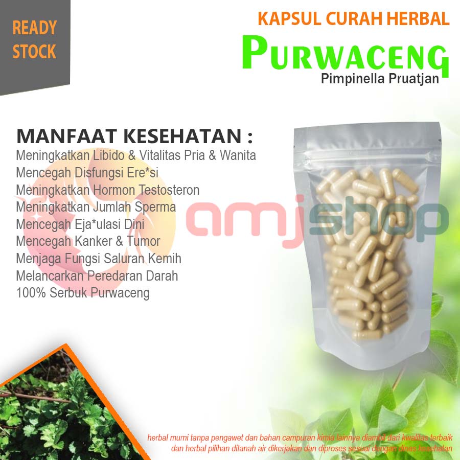 KAPSUL CURAH HERBAL PURWACENG Kapsul Curah Herbal Jamu Kuat Pria Vitalitas Libido ED
