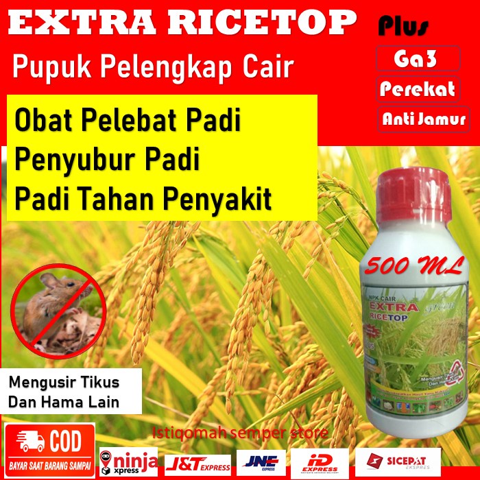 PROMO Ricetop Pupuk Pelebat Padi - Ricetop Pupuk Penyubur Padi - Ricetop Untuk Padi Tahan Penyakit A