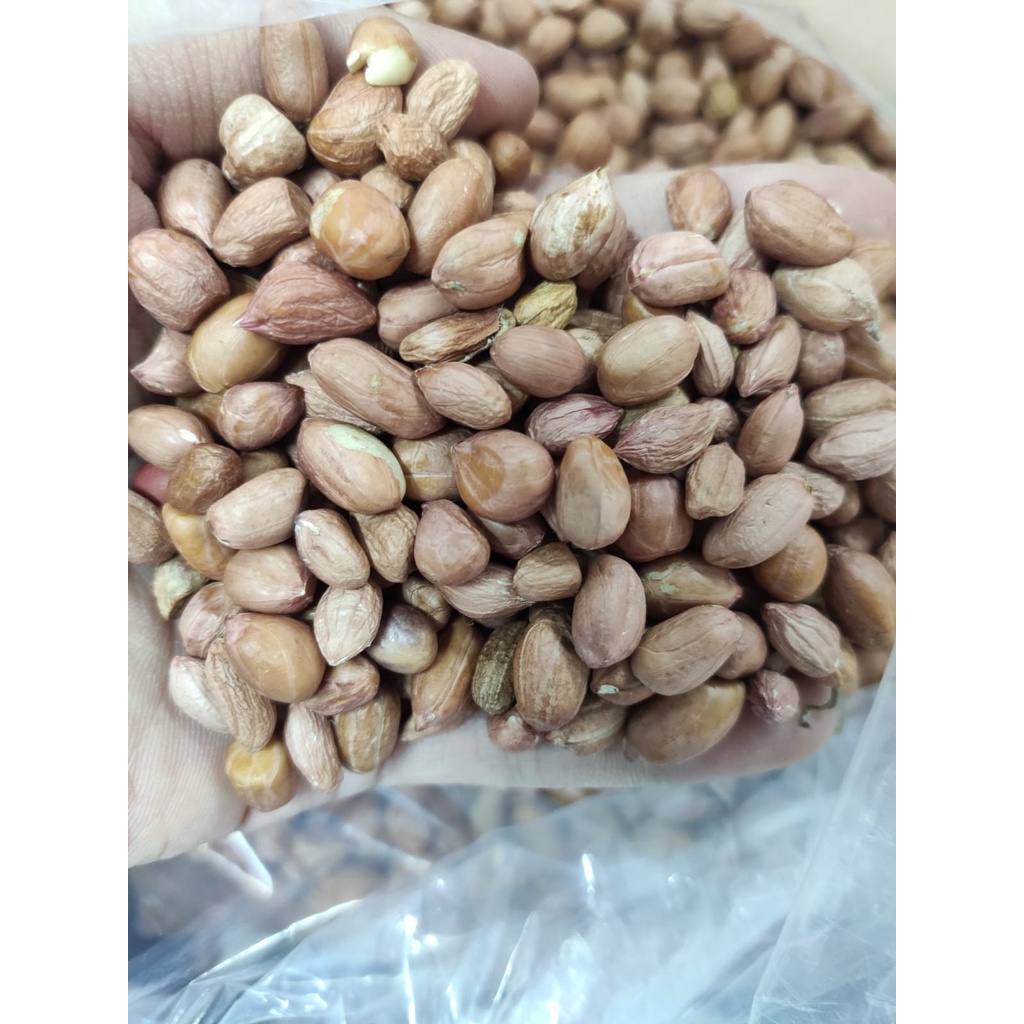 KACANG TANAH KUALITAS PREMIUM HSD 500 G