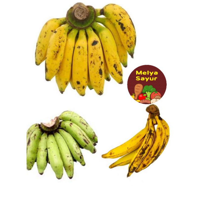 

Pisang uli, pisang nangka, pisang tanduk - melyasayur