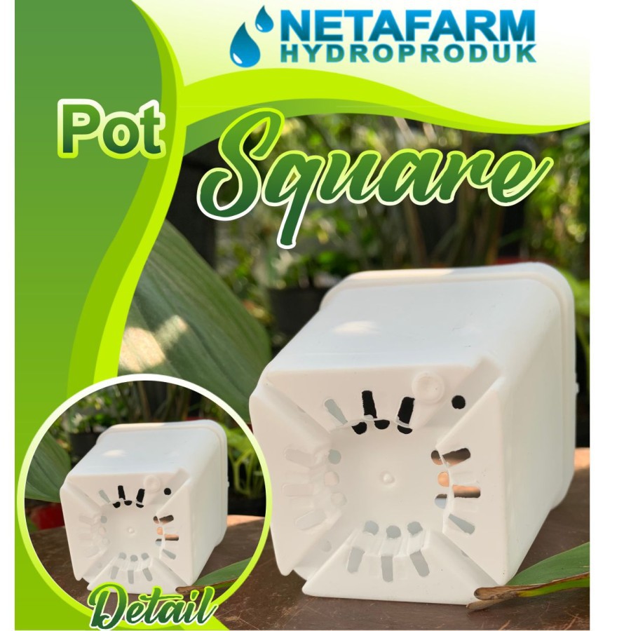 Pot Square Putih Kotak 8 cm - 1 pcs