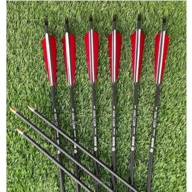 Arrow carbon musen vanes bulu