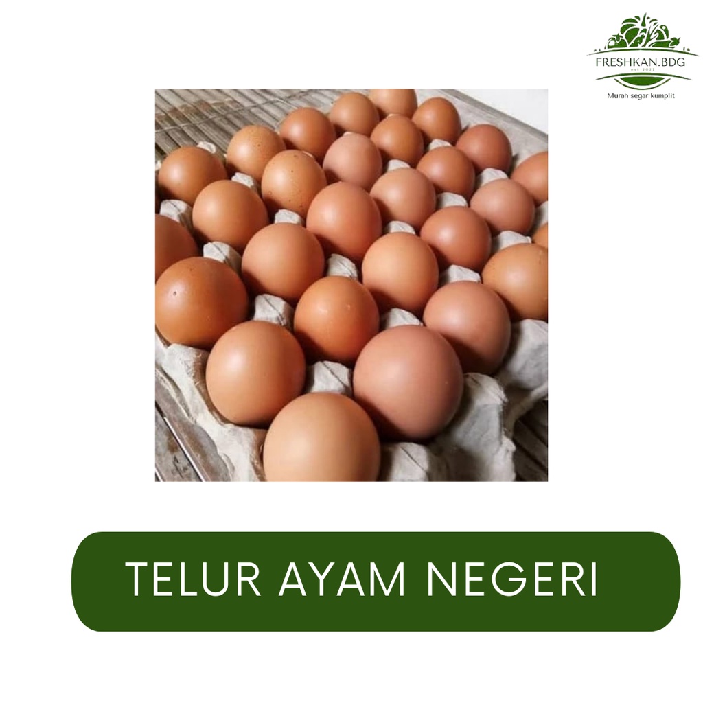 

TELUR AYAM NEGERI