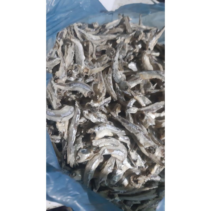 

ikan teri medan
