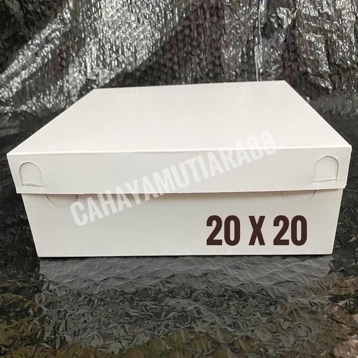Dus nasi/ box nasi/ Dus besek/ TPS ukuran 20X20 putih polos