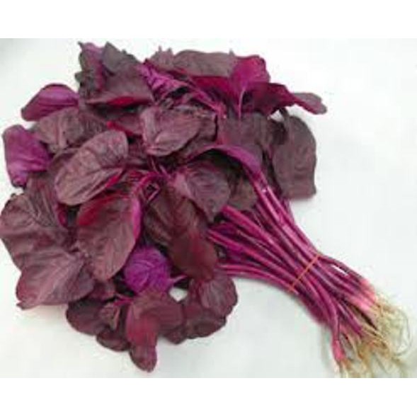 200 Biji Bibit Benih Sayur Bayam Merah Tpsdd3 Murah