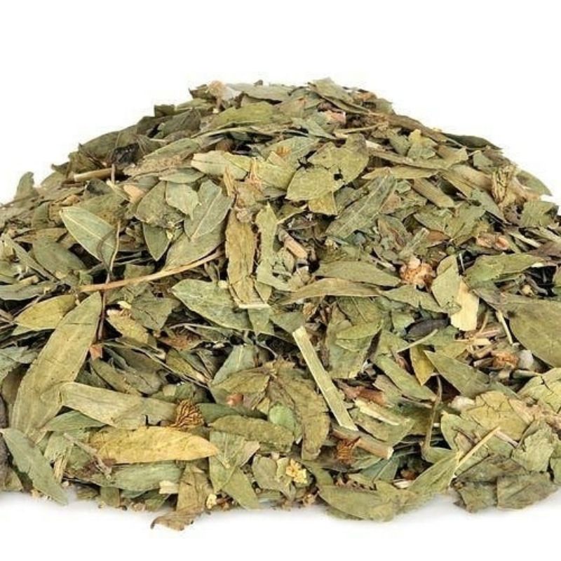 

Teh Daun Jati Cina 100gr