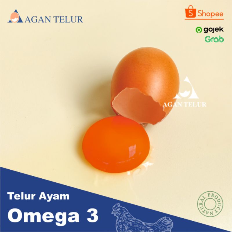 Telur Negeri Omega 3 orange  Fresh per kg (15 - 16 btr)