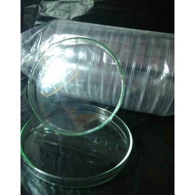 Cawan petri plastik 100ml