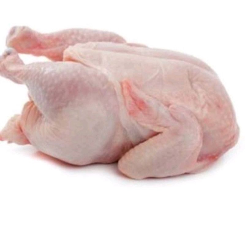 

Ayam Potong Negeri Utuh karkas Fresh dan Murah