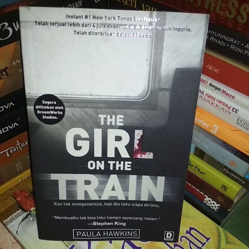 the girl on the train