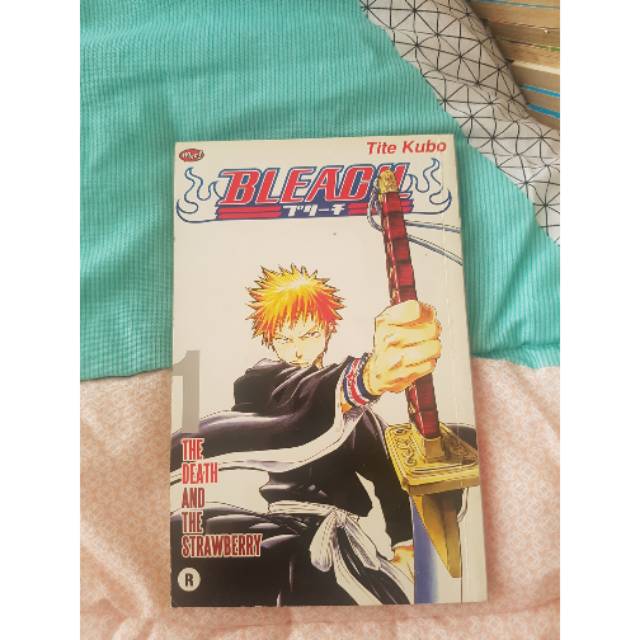 Bleach 01 The Death And The Strawberry Shopee Indonesia