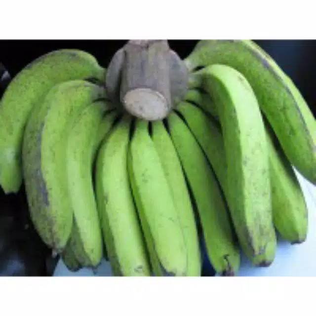 

Buah pisang nangka mentah