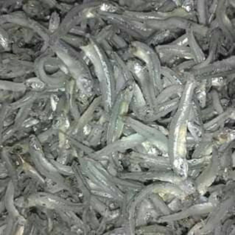 

Ikan Asin Teri Lampung 100 gram