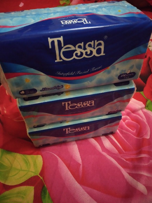 Tisu Wajah Tessa 250 Lembar 2ply Natural Soft Tissue