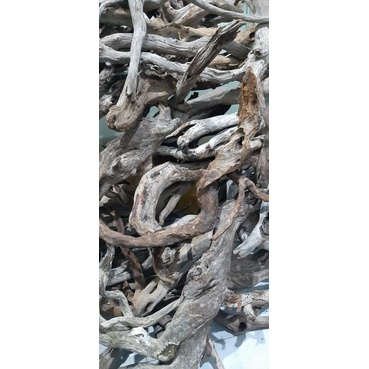 Kayu Santigi Laut Kecil - Kayu Tenggelam - Aquascape Paludarium Terarium - 10