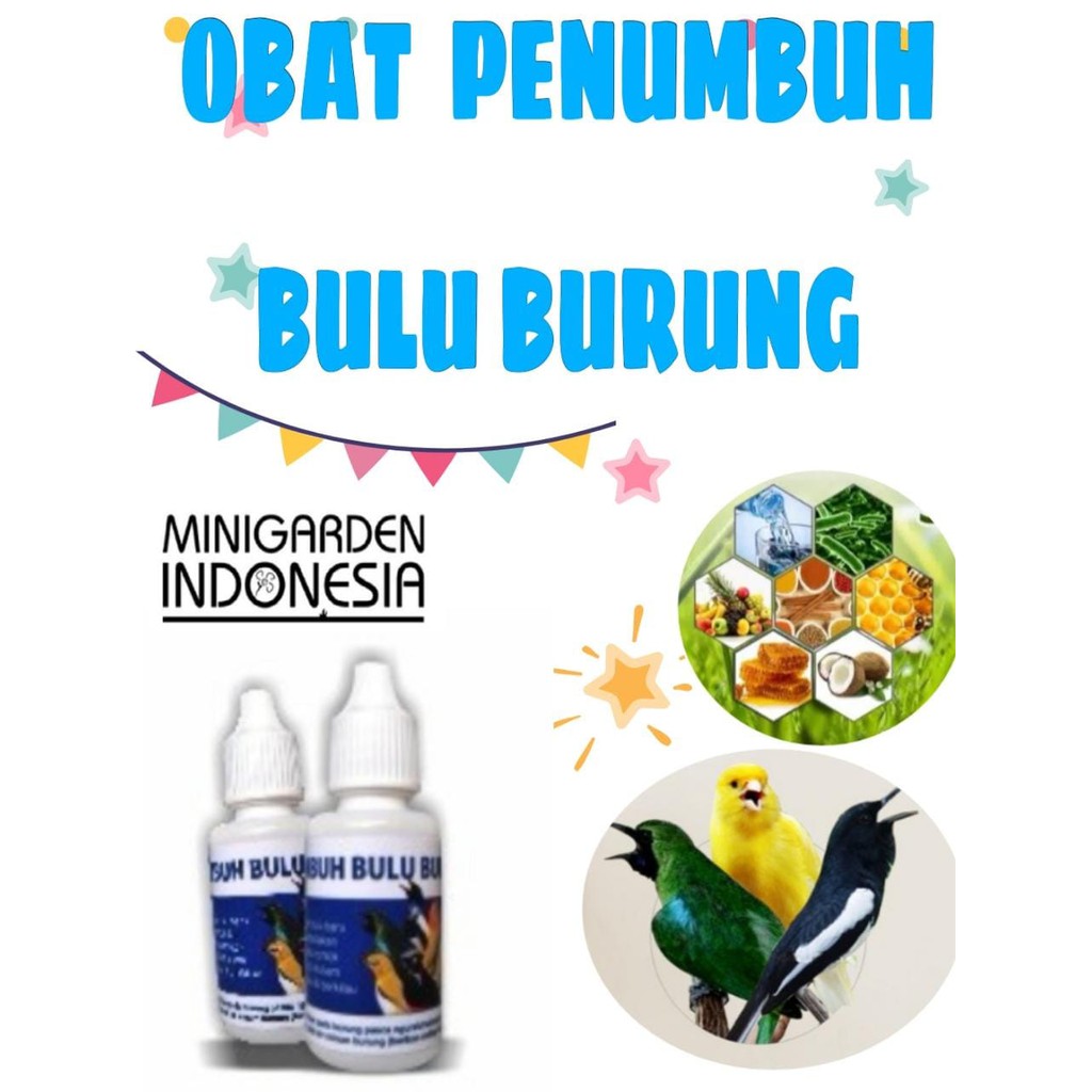 OBAT PENUMBUH BULU BURUNG  mengatasi burung mabung bulu kusam botak vitamin bulu burung halus kilap