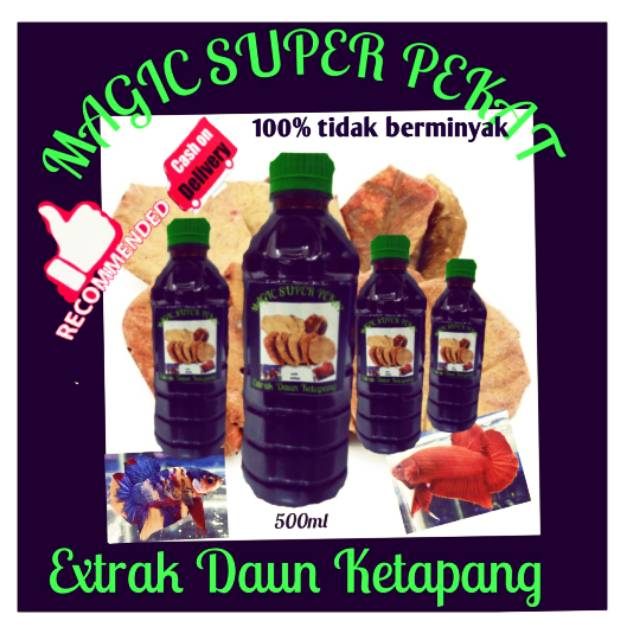 

Extrak daun ketapang super pekat