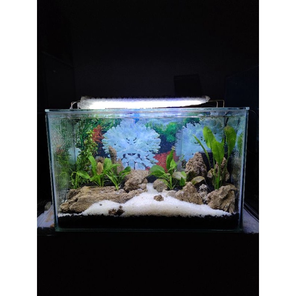 Aquarium Full Set Aquascape 40 AC