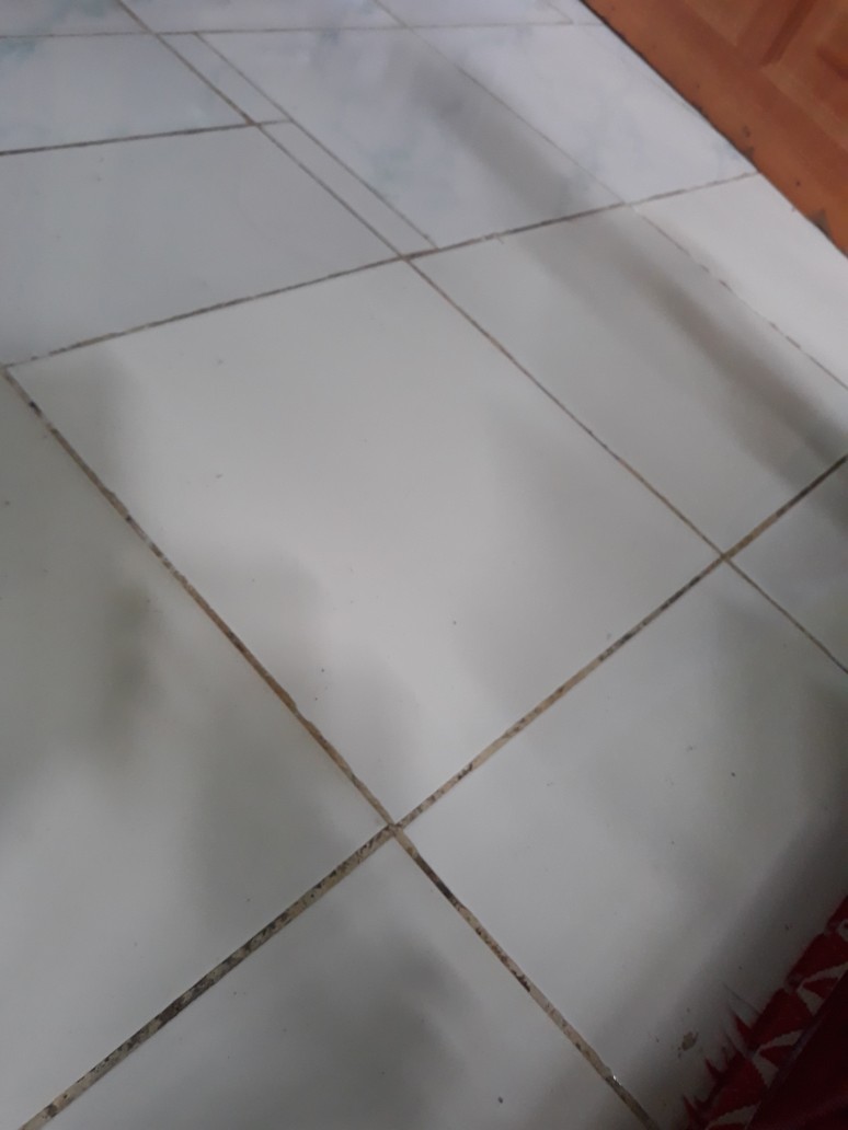 Dian Batik Hrb026 Kenongo Kemeja Naga Pendek Pekalongan Padi M L Xl Sogan Tulis Halus Kemeja Batik.