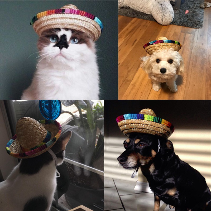 Topi Sombrero Mini Adjustable Bahan Jerami Untuk Anjing / Kucing