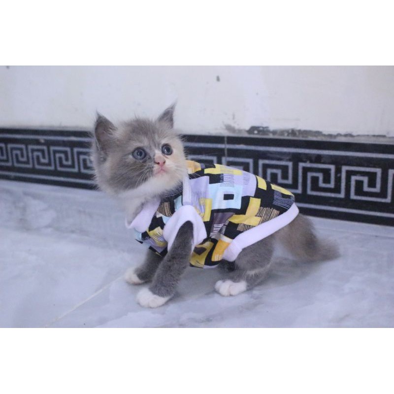 Kaos rumahan motif kotak-kotak #0182 lucu untuk kucing dan anjing / baju kucing murah size S-XL