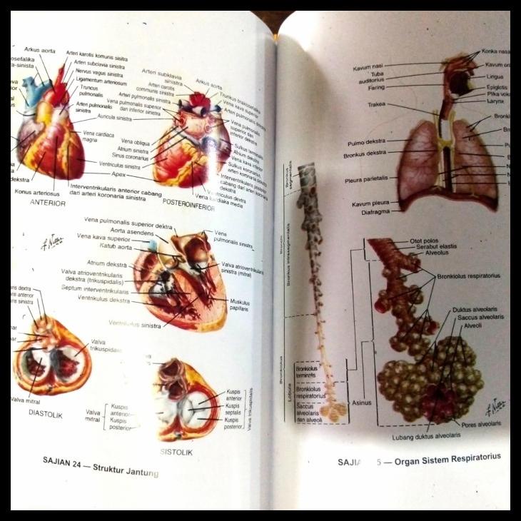 

TERBARUU!! BUKU KAMUS SAKU KEDOKTERAN EDISI 30 DORLAND TERLARIS TERMURAH TERLARIS