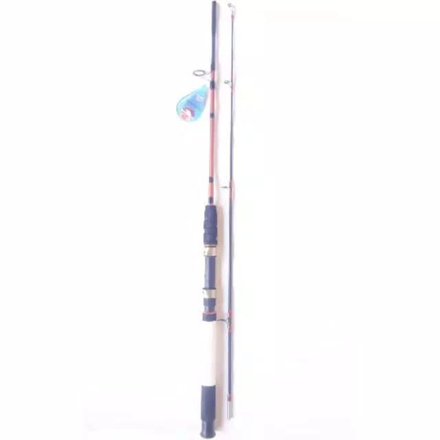 Joran Golden Fish FLOROSTIK 165