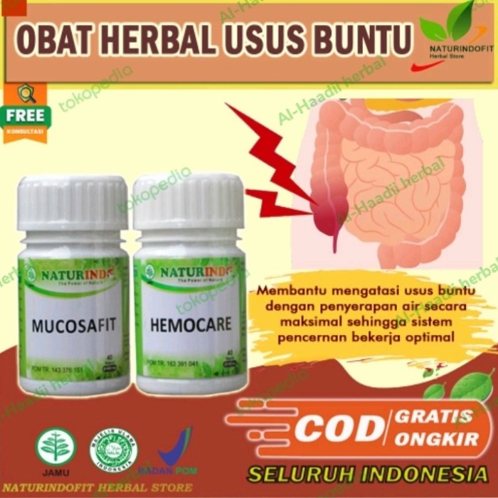 TERUJI Obat Usus Buntu Herbal Alami Tanpa Operasi Paling Ampuh Naturindo