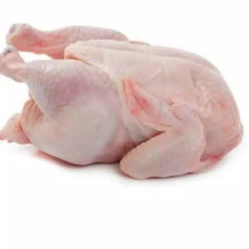 

Bisa Kirim Instan - Ayam Potong Boiler Fresh