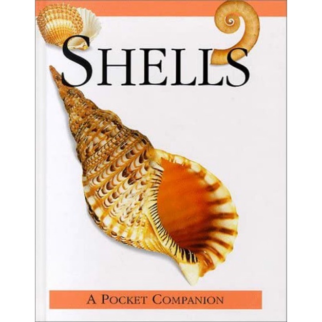 ORIGINAL BOOK  SHELLS A POCKET COMPANION BUKU TENTANG KERANG KOLEKTOR