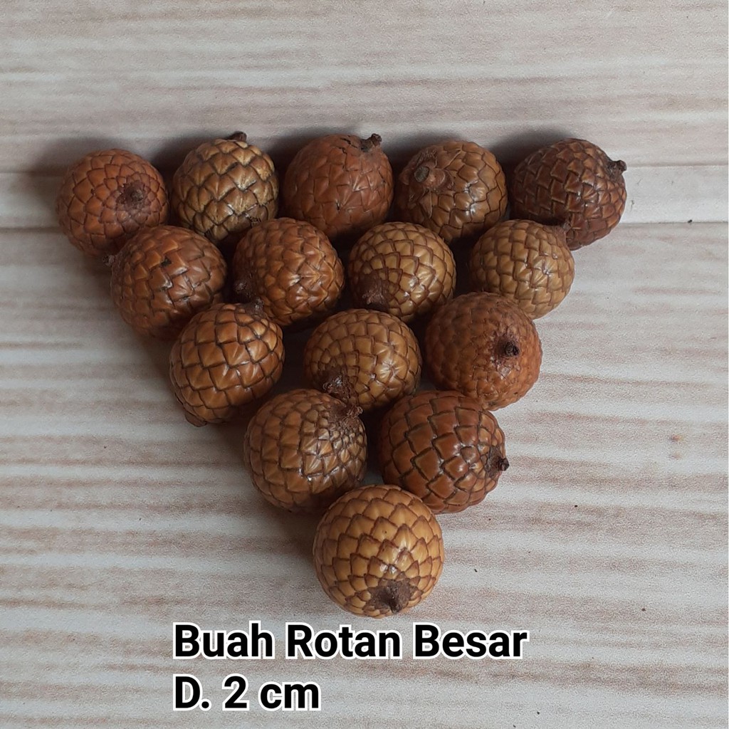 Buah rotan besar isi 10 pcs