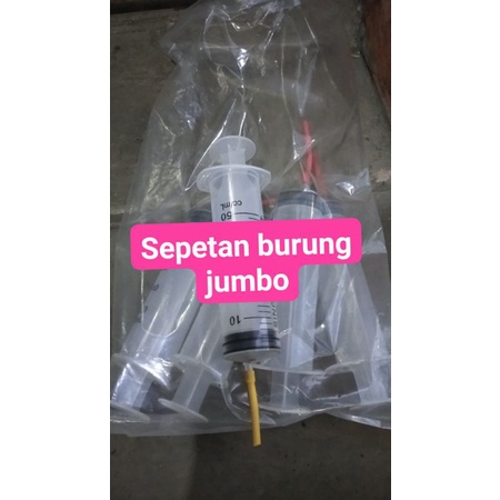 SPETAN LOLOH ANAK BURUNG JUMBO