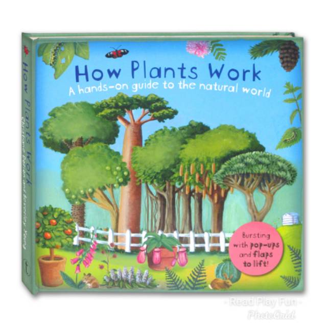 How Plants Work - A hands on guide to the natural world 