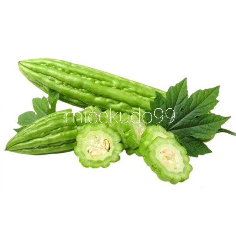 

SAYUR PARE 500GR SEGAR / FRESH PARIA BITTER MELON