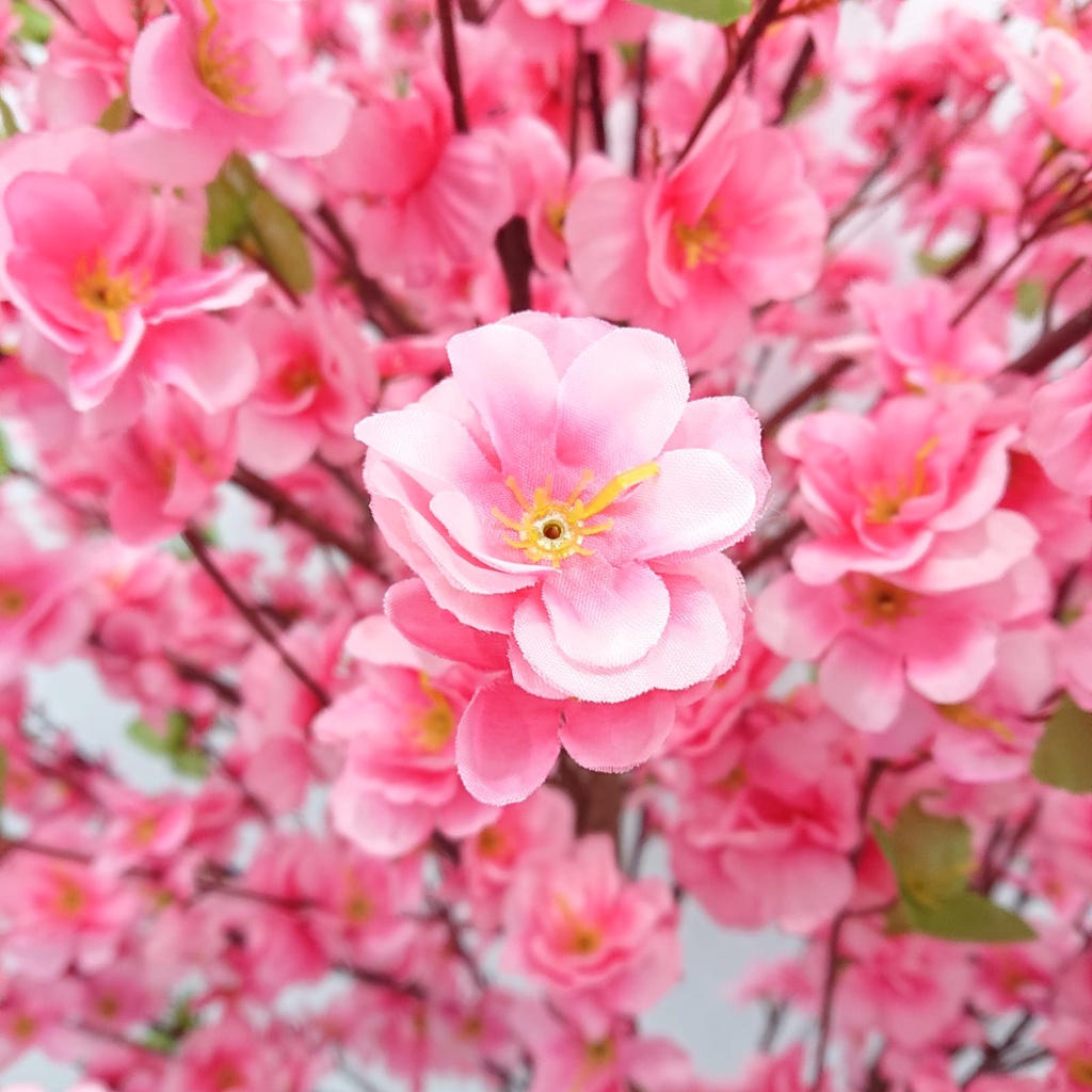 Pohon Sakura Hias Tinggi Tanaman Hias Plastik Ornamen Pajangan Pohon Sakura Dekorasi Rumah Cafe Kantor Artificial Flower Satu7an PBP80