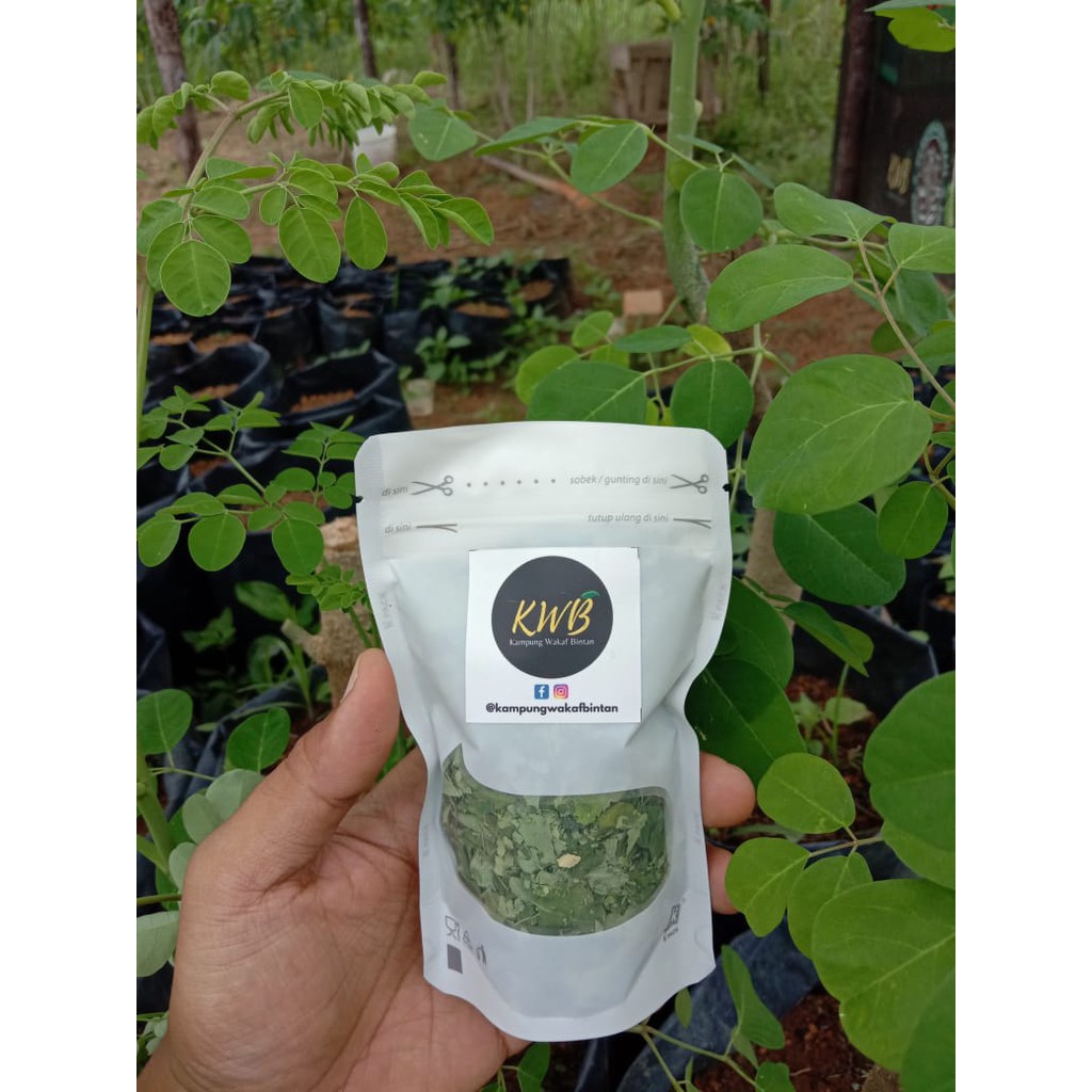 

Teh Daun Kelor (Kemasan 15gr)