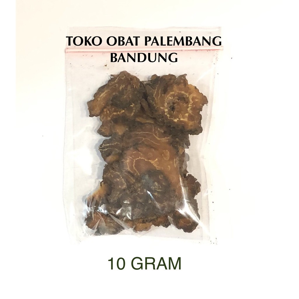 CHUAN XIONG 10GR CHUAN KUNG CHUAN KIUNG CUAN XIONG CUANKUNG CUAN KIUNG