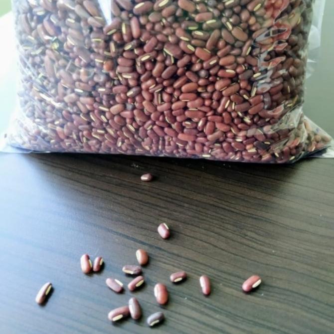 

Kcg Es Import Thailand / Kcg Merah 5 KG / Kacang Merah 5 KG