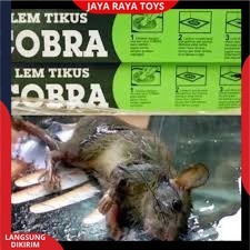 Lem Tikus / Jebakan Tikus / Cobra / Lem Tikus Cobra Super Lengket Ampuh &amp; Berkualitas Bisa Cod