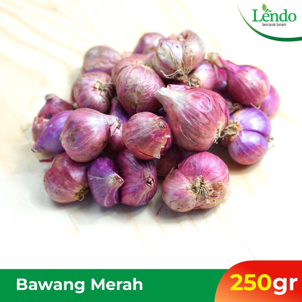 

Bawang Merah