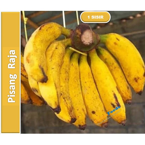 

Buah Pisang Raja Fresh | 1 SISIR [ Harga Per PCS ]