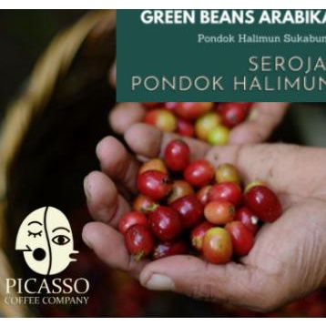

Kopi Arabika Biji Mentah Seroja Pondok Halimun Green Beans Arabica