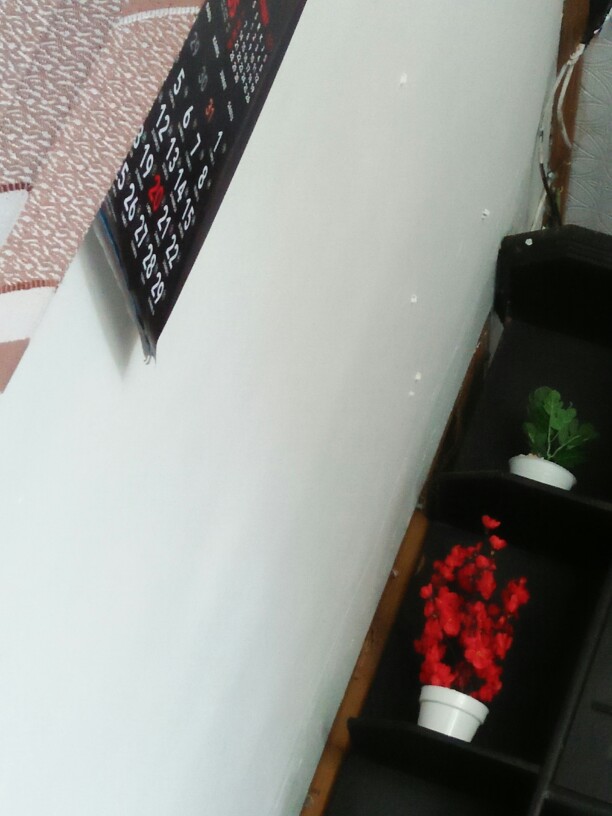 Sakura Pot Plastik D 10cm