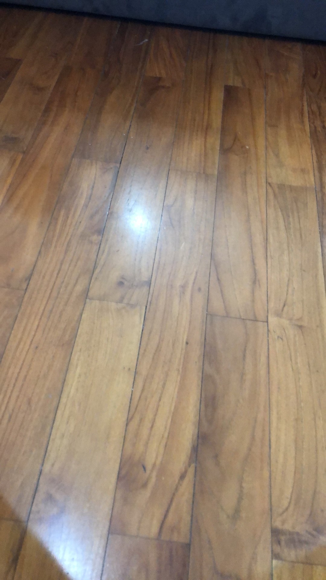 Standing Pouch + Ziplock Ecopack Window 12x20 Cm