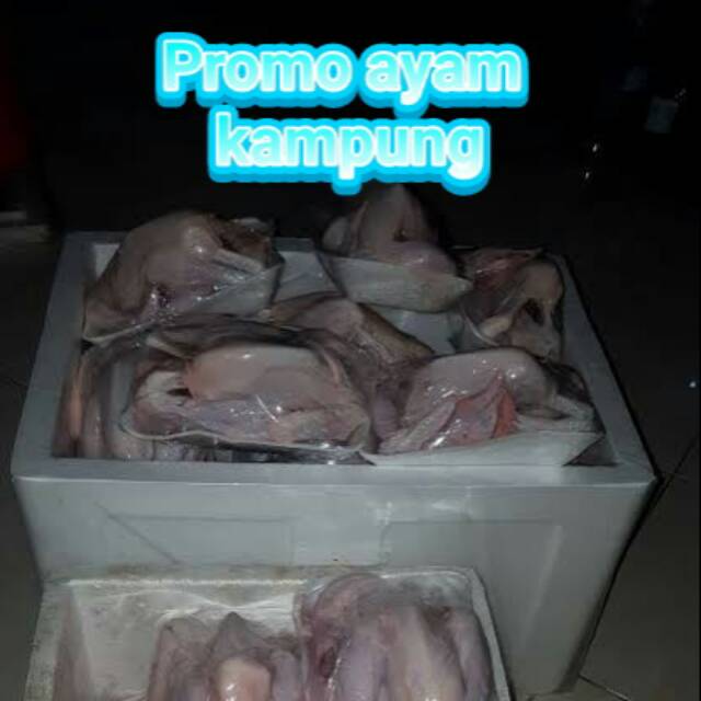 

Ayam kampung