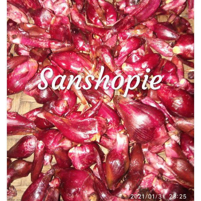 

Bawang dayak segar bawang perahu 1 kg