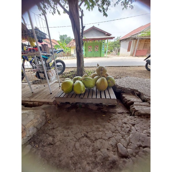 

kelapa hijau segar bagus utk kesehatan