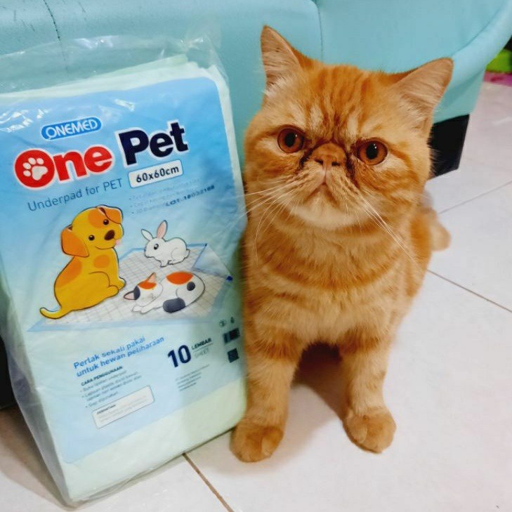 Onepet Onemed 60x60 Underpad alas kandang isi 10 lembar alas kandang anjing kucing kelinci